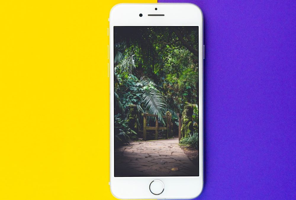 Gør det selv: Skift en Iphone 8 skærm